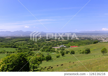 從北海道瀧川市丸香高原展望台眺望的景色【6月】 從北海道瀧川市丸香高原展望台眺望的景色【6月】 126116216
