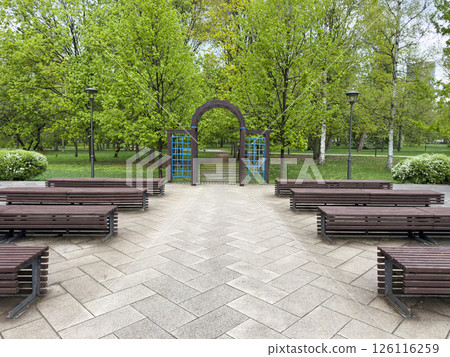 Decorative park area with romantic arch and wooden benches arranged in a ceremonial layout, ideal for weddings, vow renewals, or symbolic outdoor celebrations in a natural green setting 126116259