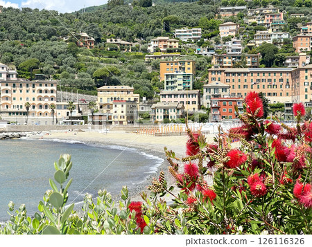 Seafront of Recco, Italy. Sea and nature, flowers in spring, traditional buildings in city of Liguria. Landscape and tourism. Seafront of Recco, Italy. Sea and nature, flowers in spring, traditional buildings in city of Liguria. Landscape and tourism. 126116326