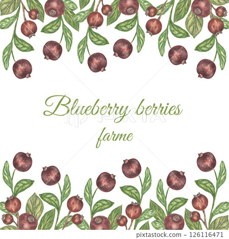 Watercolor Botanical frame with Summer Blueberries and green leaves in Decorative style. A template for greeting cards, wedding invitations, and a summer background. Watercolor Botanical frame with Summer Blueberries and green leaves in Decorative style. A template for greeting cards, wedding invitations, and a summer background. 126116471