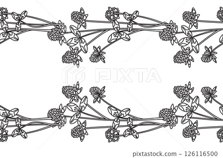 Line art botanical floral horizontal seamless border isolated on white background. Hand drawn outline clover plant with Flowers Stems Leaves vector illustration.Graphic design element for Wedding Card 126116500