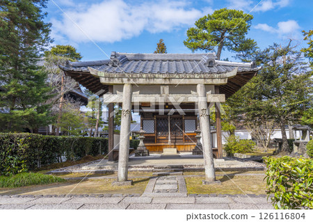 京都相國寺弁天社 京都相國寺弁天社 126116804