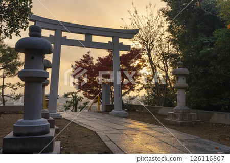 Funaokayama, Kyoto in autumn, Kenkun Shrine, stone torii bathed in the morning sun 126116807
