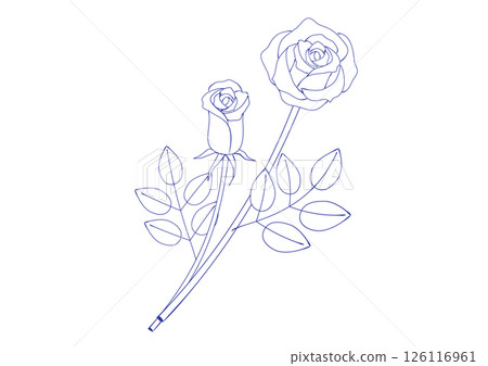 兩朵玫瑰花的插圖，彷彿用鋼筆畫的 126116961