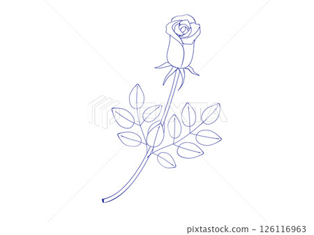 Illustration of a rose bud drawn with a fountain pen, painted white Illustration of a rose bud drawn with a fountain pen, painted white 126116963