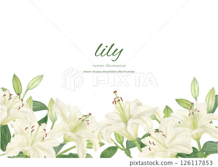 用水彩繪製的白色卡薩布蘭卡的框架材料 126117853