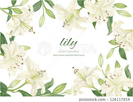 水彩畫的白百合背景框架材料 水彩畫的白百合背景框架材料 126117854