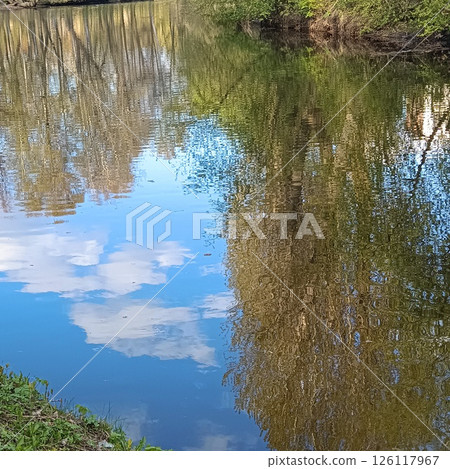 Tranquil park scene with central reflective pond surrounded by lush trees and large canopy tree, bright sunlight over peaceful grassy area, concept of wellness, travel, nature retreat 126117967