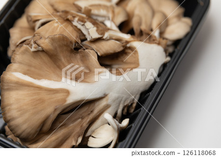 舞茸圖片（庫存照片） 126118068