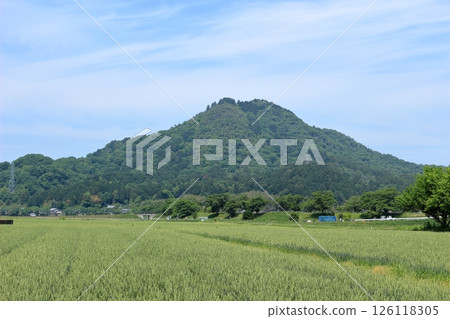 藍天和菩提寺山 126118305