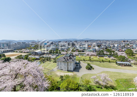 鳥取縣鳥取市 晴朗的日子裡，從鳥取城遺址眺望盛開的櫻花和鳥取市容 126118919