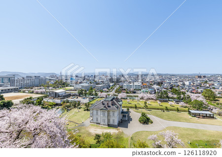 鳥取縣鳥取市 晴朗的日子裡，從鳥取城遺址眺望盛開的櫻花和鳥取市容 126118920