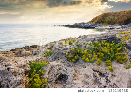 black sea nature in summer. travel background with calm water an rock on the beach in morning light. beautiful seascape black sea nature in summer. travel background with calm water an rock on the beach in morning light. beautiful seascape 126119488