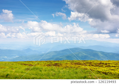 beautiful carpathian mountain landscape of ukraine. sunny day in summer. picturesque highland with lush slopes of breathtaking alps. blue sky with clouds. travel background beautiful carpathian mountain landscape of ukraine. sunny day in summer. picturesque highland with lush slopes of breathtaking alps. blue sky with clouds. travel background 126119493