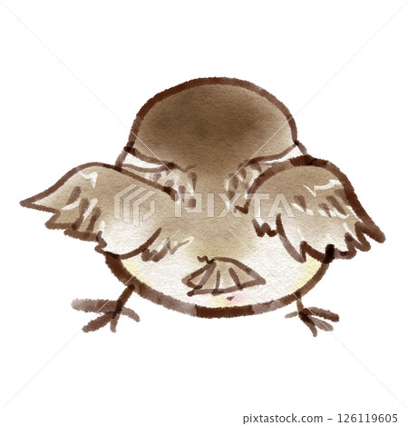 麻雀雛鳥的背影（墨水筆水彩風格） 126119605