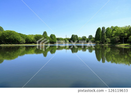 筑波市的土峰公園的濕地風景 126119633