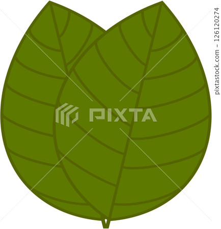 Beautiful shape and green colors tone of fresh plant leaves. 126120274