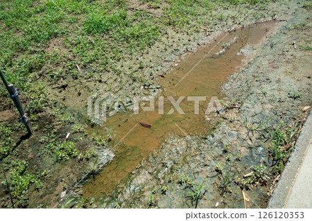 排水不良的土地 126120353