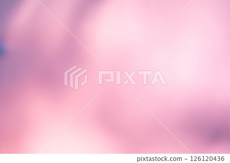 水中搖曳的粉紅色陰影影像（庫存照片） 126120436