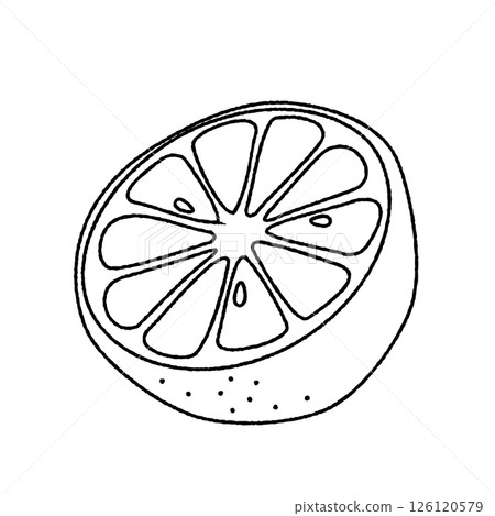 Line drawing illustration of cut lemon 126120579