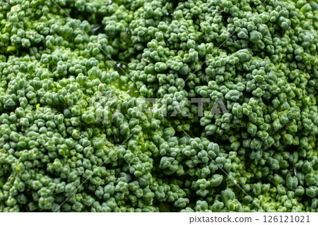 Macro Shot of Healthy Organic Broccoli Florets Macro Shot of Healthy Organic Broccoli Florets 126121021
