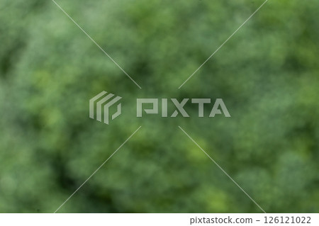 Abstract green vegetable background, blurred texture of fresh broccoli. Abstract green vegetable background, blurred texture of fresh broccoli. 126121022