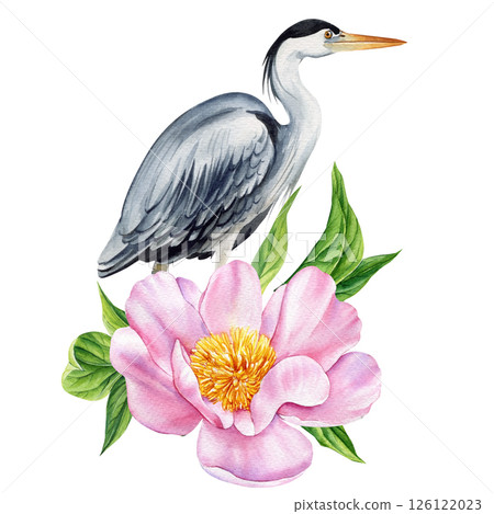 Watercolor heron bird with light pink peony and green leaves, botanical floral composition, nature illustration clipart 126122023