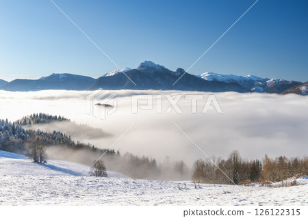 Snowy winter landscape in a misty sunny morning. The Mala Fatra national park in northwest of Slovakia, Europe. 126122315