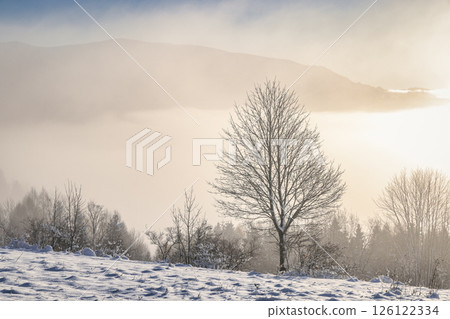 Snowy winter landscape in a misty sunny morning. The Orava region in north of Slovakia, Europe. 126122334