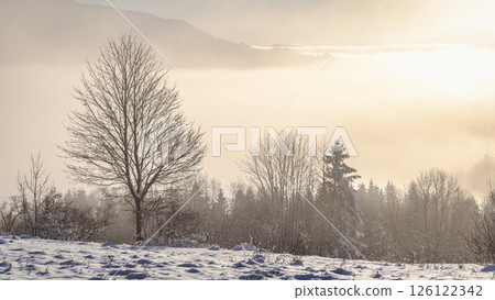 Snowy winter landscape in a misty sunny morning. The Orava region in north of Slovakia, Europe. Snowy winter landscape in a misty sunny morning. The Orava region in north of Slovakia, Europe. 126122342