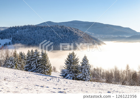 Snowy winter landscape in a misty sunny morning. The Orava region in north of Slovakia, Europe. 126122356