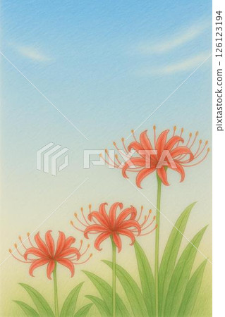 Postcard Higanbana 126123194