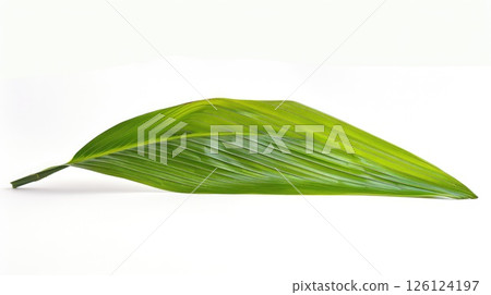 Single Palm Leaf. Generative AI Single Palm Leaf. Generative AI 126124197