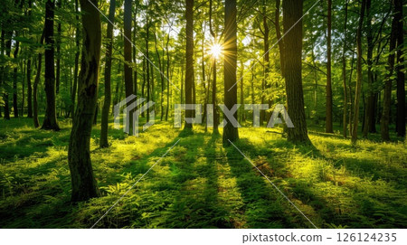 Summer Forest Scenery. Generative AI 126124235