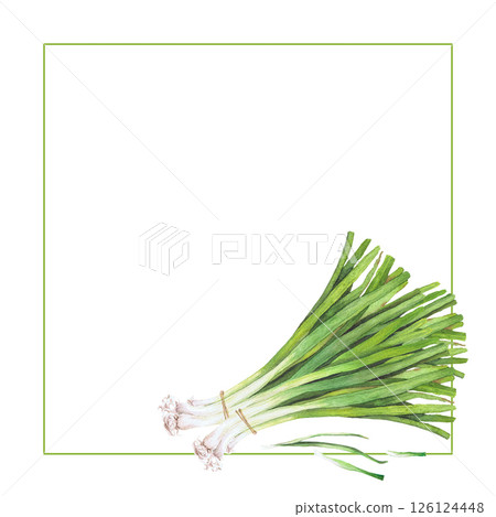 Watercolor illustration of vegetables. Hand-drawn set from isolated clip art on a white background. Bright and juicy pictures of realistic watercolor vegetables for menus, signs, packaging, textiles Watercolor illustration of vegetables. Hand-drawn set from isolated clip art on a white background. Bright and juicy pictures of realistic watercolor vegetables for menus, signs, packaging, textiles 126124448