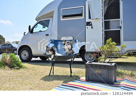 和我的狗吉娃娃一起露營 126124494