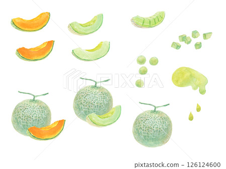 A set of images of melons painted with watercolors 126124600