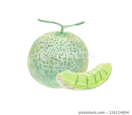 Watercolor image of a melon Watercolor image of a melon 126124604