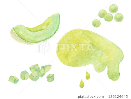 甜瓜的水彩畫 甜瓜的水彩畫 126124645