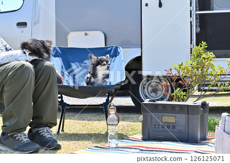 Man enjoying auto camping with his dog, Chihuahua, camper Man enjoying auto camping with his dog, Chihuahua, camper 126125071