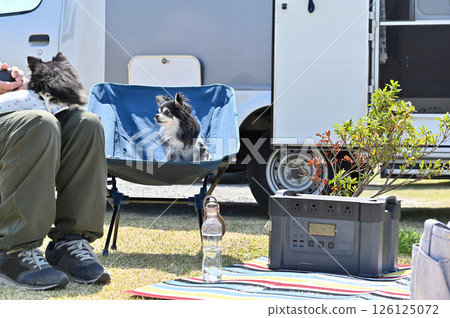 Man enjoying auto camping with his dog, Chihuahua, camper 126125072