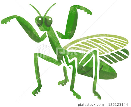 簡單的螳螂向量圖 簡單的螳螂向量圖 126125144