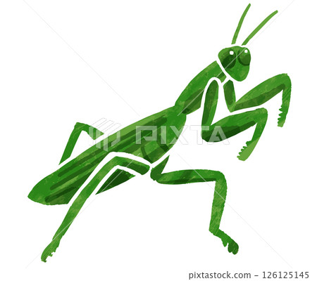 簡單的螳螂向量圖 簡單的螳螂向量圖 126125145