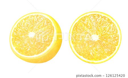 手繪插圖集切片檸檬_水彩_新鮮柑橘類水果 手繪插圖集切片檸檬_水彩_新鮮柑橘類水果 126125420
