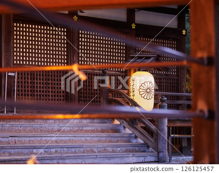 金澤市的旅遊景點尾山神社的夜景 126125457