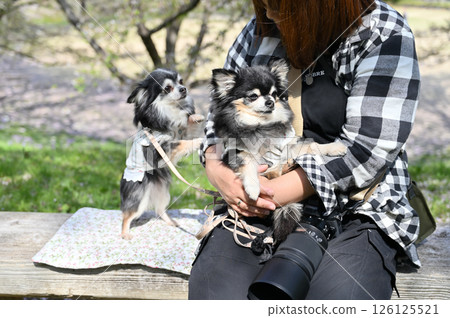 Woman holding a camera sitting on a bench and relaxing with her dog 126125521