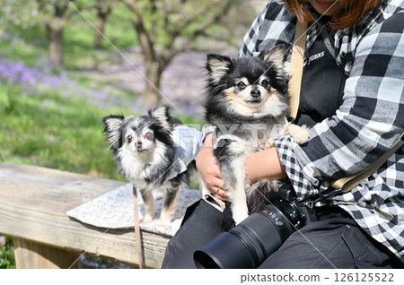 Woman holding a camera sitting on a bench and relaxing with her dog Woman holding a camera sitting on a bench and relaxing with her dog 126125522