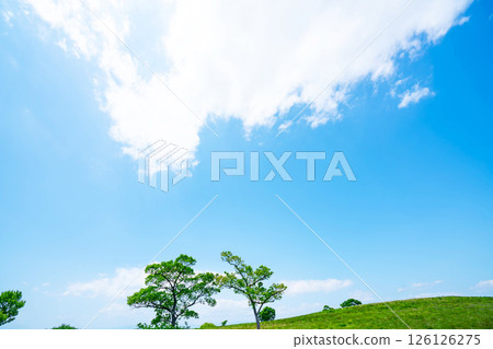 Blue sky and prairie 126126275
