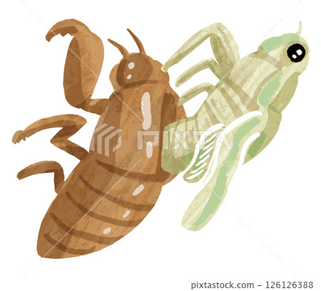 Simple cicada vector illustration 126126388