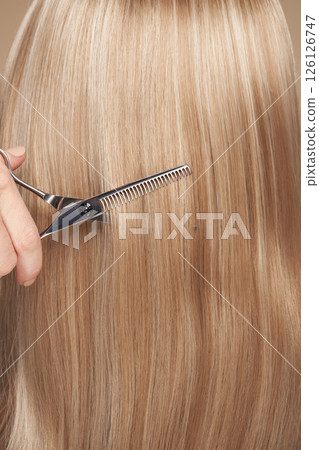 Hairdresser cuts long blonde hair with scissors Hairdresser cuts long blonde hair with scissors 126126747